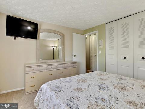 7317 Husky Ln, Springfield, VA 22151 photo 12