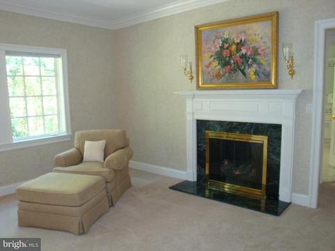 4010 Cloverland Dr, Phoenix, MD 21131 photo 16