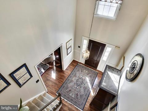 11411 Catalina Ter, Silver Spring, MD 20902 photo 23
