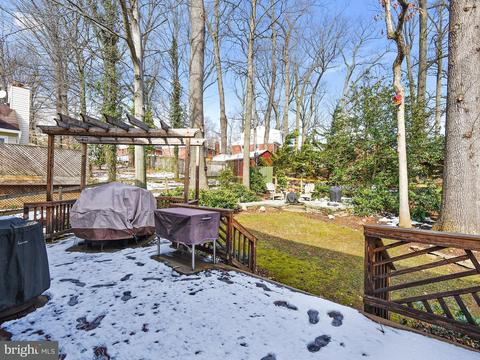 11411 Catalina Ter, Silver Spring, MD 20902 photo 29