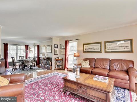 11411 Catalina Ter, Silver Spring, MD 20902 photo 4