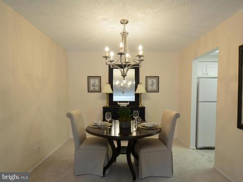 7680 Tremayne Pl #309, Mclean, VA 22102 photo 7