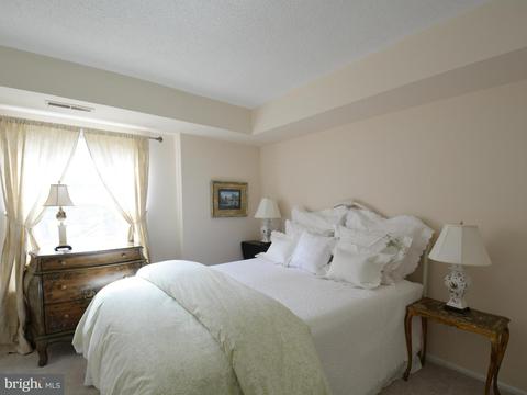 7680 Tremayne Pl #309, Mclean, VA 22102 photo 13