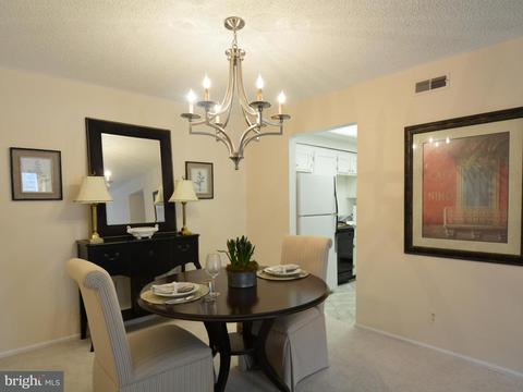 7680 Tremayne Pl #309, Mclean, VA 22102 photo 6