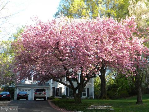 1219 Old Stable Rd, Mclean, VA 22102 photo 26