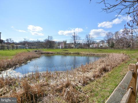 3922 Apple Orchard Dr, Pasadena, MD 21122 photo 29