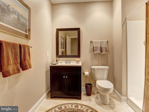 4205 Sequoia Dr, Westminster, MD 21157 photo 26