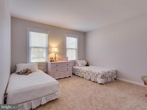 8019 Daffodil Ct, Springfield, VA 22152 photo 21