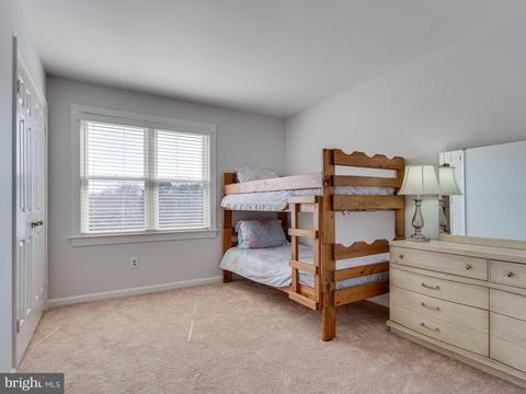 8019 Daffodil Ct, Springfield, VA 22152 photo 22
