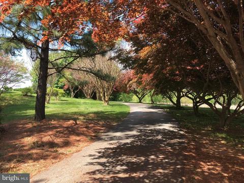 511 Conowingo Rd, Conowingo, MD 21918 photo 5