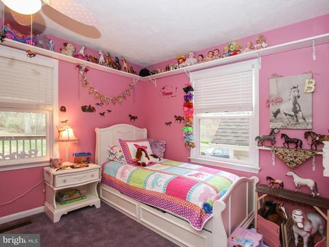 4661 Morgans Bluff Dr, Marshall, VA 20115 photo 17