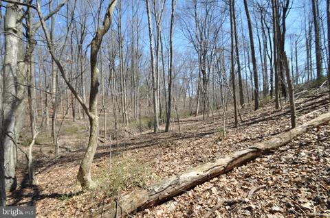 1206 Stone Rd, Westminster, MD 21158 photo 18