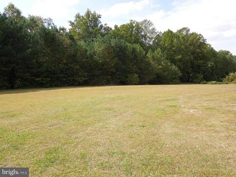 7465 Harmony Rd, Preston, MD 21655 photo 27