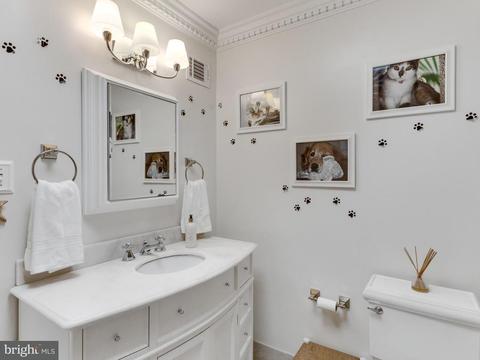 6515 Sunny Hill Ct, Mclean, VA 22101 photo 21