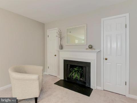 7215 Evans Mill Rd, Mclean, VA 22101 photo 17