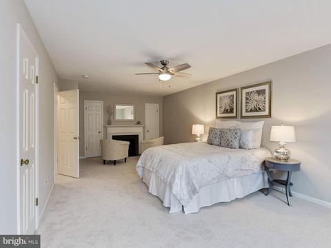 7215 Evans Mill Rd, Mclean, VA 22101 photo 15