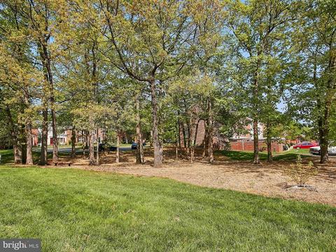 5959 Queenston St, Springfield, VA 22152 photo 29