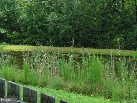 7601 Pondview Rd, Hebron, MD 21830 photo 43
