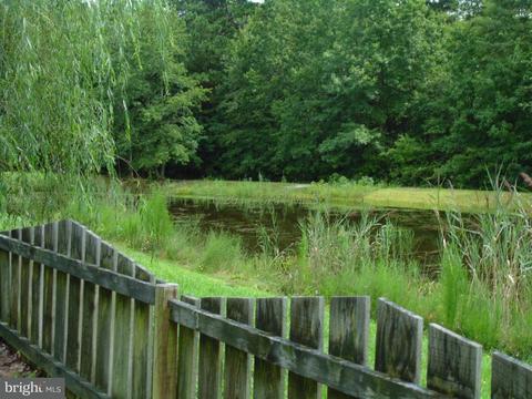 7601 Pondview Rd, Hebron, MD 21830 photo 42