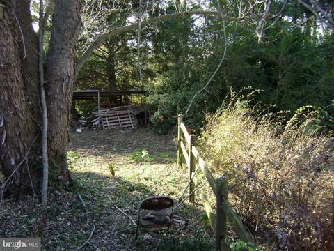 33115 Melson Rd, Delmar, MD 21875 photo 4