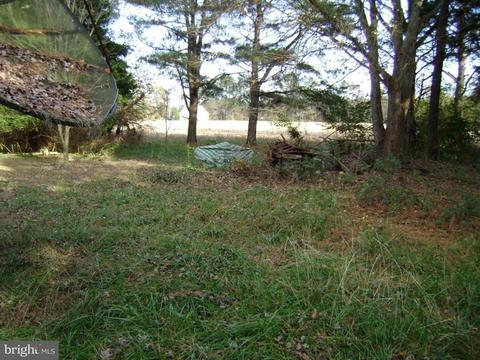 33115 Melson Rd, Delmar, MD 21875 photo 5