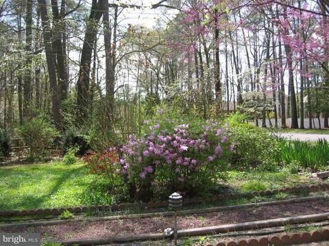 1807 Kipling Dr, Salisbury, MD 21801 photo 10