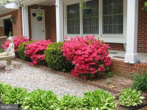 1807 Kipling Dr, Salisbury, MD 21801 photo 7