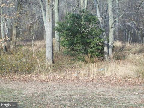 35514 Poplar Neck Rd, Parsonsburg, MD 21849 photo 6
