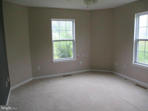 7381 Division St, Willards, MD 21874 photo 10