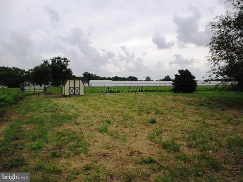 7381 Division St, Willards, MD 21874 photo 5