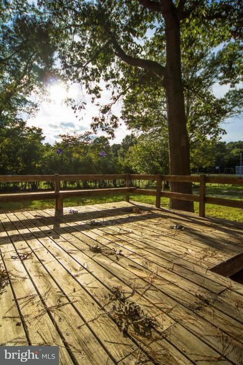 6611 Quercus Dr, Hebron, MD 21830 photo 5