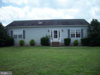 36123 Timber Dr, Willards, MD 21874 photo 1
