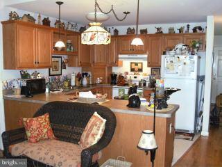 202 Spring Crest Dr, Salisbury, MD 21804 photo 3