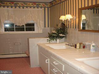 605 Pine Bluff Rd, Salisbury, MD 21801 photo 9