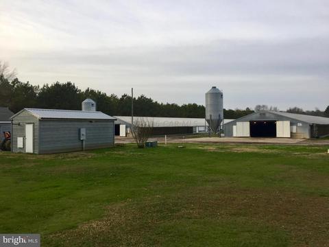 5704 Massey Crossing Rd, Willards, MD 21874 photo 15