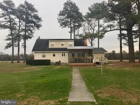 5704 Massey Crossing Rd, Willards, MD 21874 photo 22