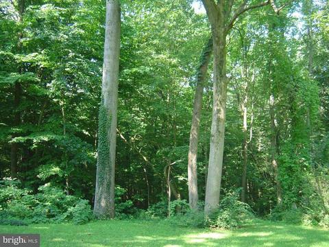 21 Apple Hill Dr, Lititz, PA 17543 photo 29