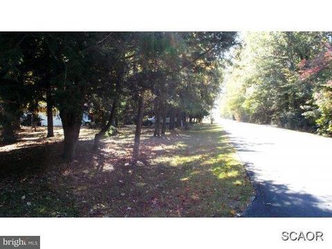 22409 Deep Branch Rd, Georgetown, DE 19947 photo 11