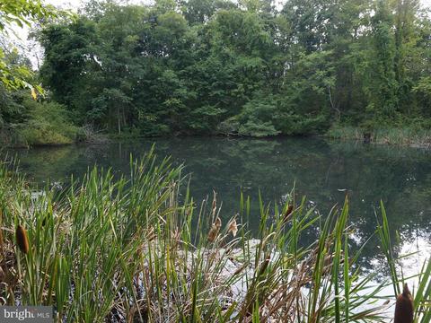 16502 Raven Rock Rd, Cascade, MD 21719 photo 27