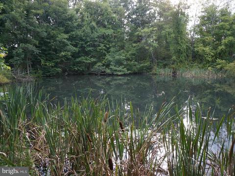16502 Raven Rock Rd, Cascade, MD 21719 photo 28