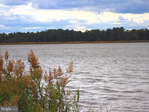 3099 Choptank Rd, Preston, MD 21655 photo 24