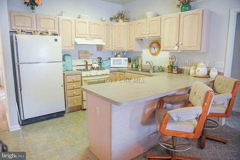 123 Village Oak Dr, Salisbury, MD 21804 photo 4