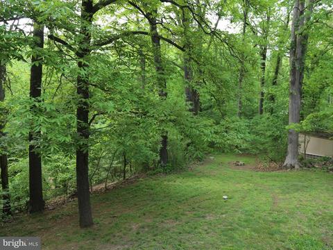 2907 Trout Ter, Joppa, MD 21085 photo 23