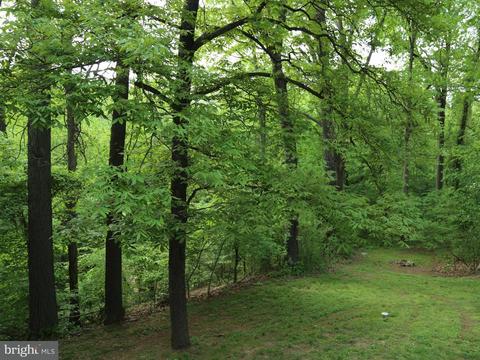 2907 Trout Ter, Joppa, MD 21085 photo 20