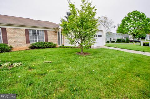 5814 Box Elder Ct, Frederick, MD 21703 photo 2