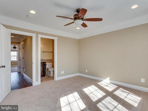 558 23rd Pl NE, Washington, DC 20002 photo 10