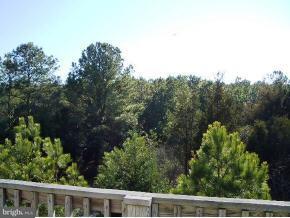 326 Le Pointe Dr, Bethany Beach, DE 19930 photo 5