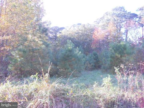 8140 Upper Hill Rd, Upper Fairmount, MD 21867 photo 1