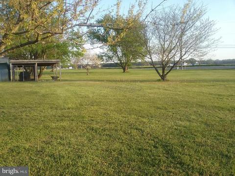 8178 Memory Gardens Ln, Hebron, MD 21830 photo 6