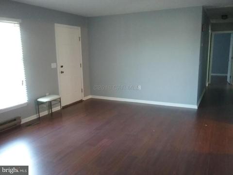 8178 Memory Gardens Ln, Hebron, MD 21830 photo 9